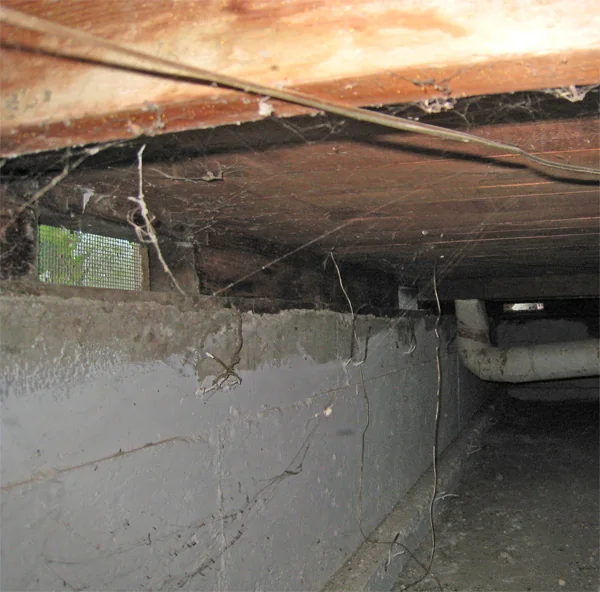 Crawlspace Water Removal in a San Diego home