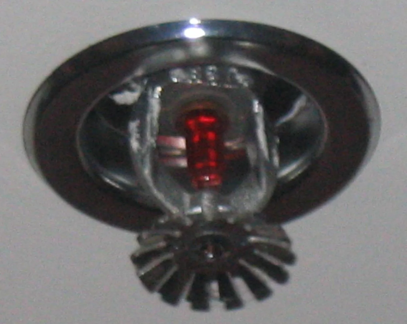 Fire Sprinkler Discharge in a San Diego home