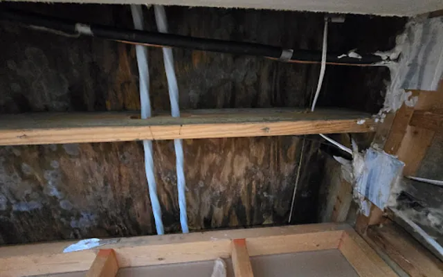 Roof Leak Water Damage in San Diego, CA