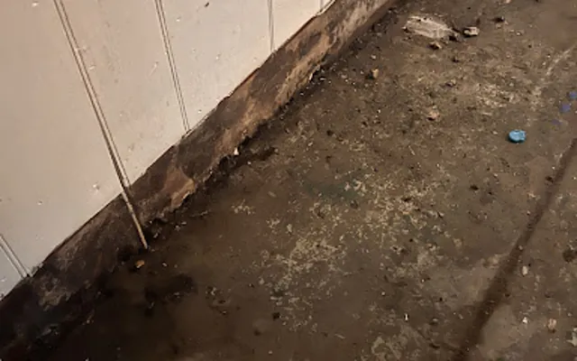 Sewage and Black Water Cleanup in San Diego, CA