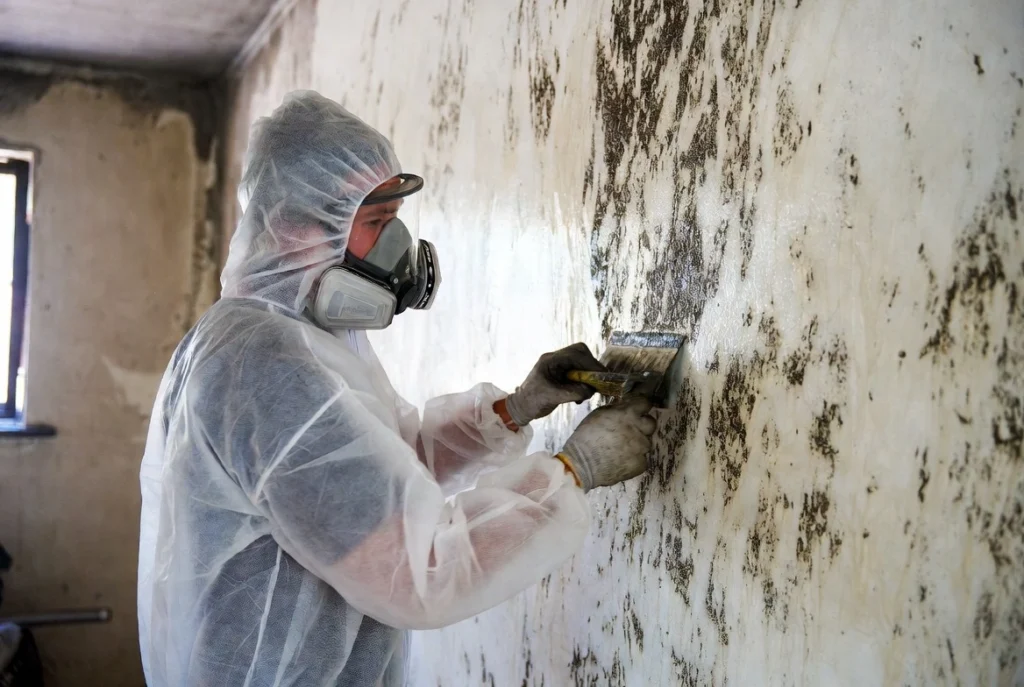 Mold Remediation & Decontamination
